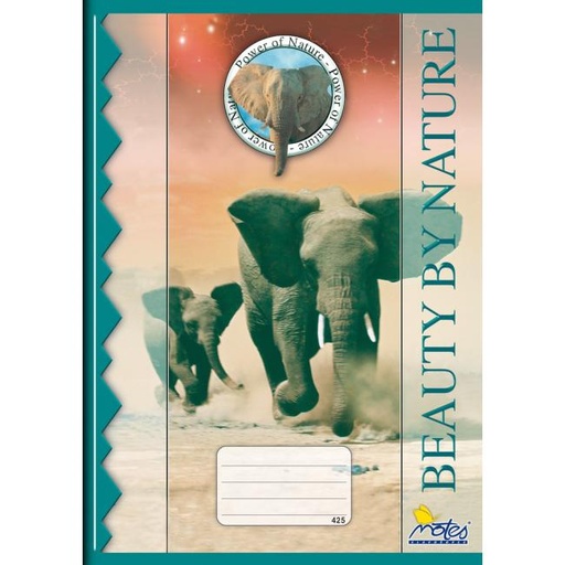 [4002602] Zošit 425 štvorčekový 20listov