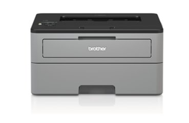 [4w00153] Brother HL-L2352DW